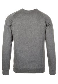 Sudadera gris, material de mezcla de algodón, cuello redondo, puños y dobladillo acanalados, sin patrones, color sólido, corte relajado, vista trasera simple.