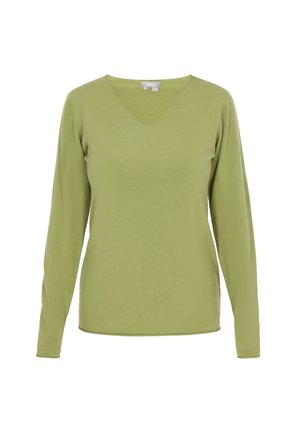 Zaļš garām piedurknēm V-veida kakla tops, kas izgatavots no mīksta auduma, ar pieguļošu dizainu un gludu tekstūru bez redzamām rakstām vai rotājumiem.