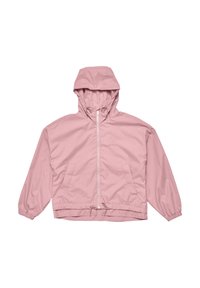 Unselected, powder rose