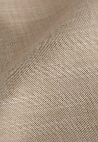 REGULAR FIT  - Vesta - neutral