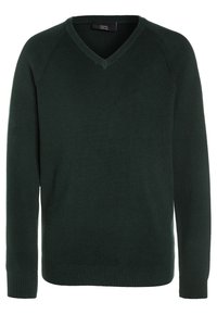 Next V-NECK  - Strickpullover - green
