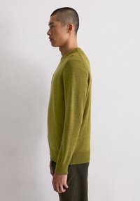 Grüner Wollpullover mit strukturiertem Finish, Rundhalsausschnitt und gerippten Bündchen. Der Schnitt ist leicht locker und wird über einer dunkelgrünen Hose getragen.