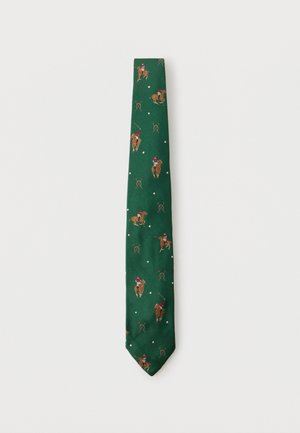 Polo Ralph Lauren NECK TIE - Kravata - green