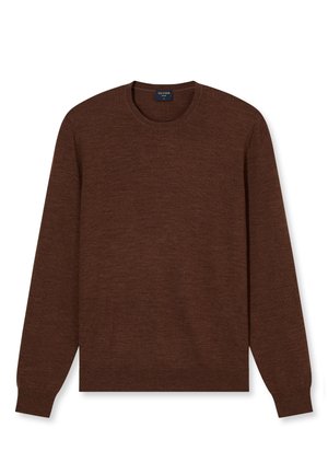 Brauner Strickpullover mit Rundhalsausschnitt, langen Ärmeln und gerippten Bündchen. Glatte Textur und schlichtes Design, das eine vielseitige, neutrale Option bietet.