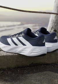 Navy blue and white Adidas running shoes resting on a ledge outdoors with a blurred coastal background.