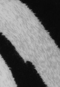 Close-up of soft fabric with a black and white irregular striped pattern, showing texture and fuzzy fibers.