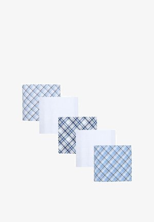 Fünf Baumwolltaschentücher in verschiedenen Designs: zwei Karomuster in Blau und Weiß, zwei einfarbig weiß und eines in hellblauem Karomuster.