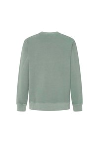 Ljusgrön sweatshirt tillverkad av mjukt tyg, med långa ärmar, rund halsringning och ribbade muddarna och fållen. Enfärgad design utan mönster.