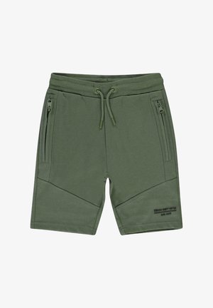Groene sportieve shorts gemaakt van zachte stof, met twee zijzakken met rits, een elastische tailleband met trekkoord en hoekige ontwerpelementen.