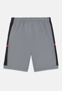 Pantalones cortos deportivos grises con un panel lateral negro, una franja de acento roja y una cinturilla elástica. Hechos de un material ligero y transpirable.