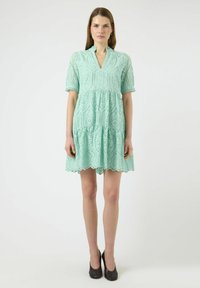 No seleccionado, lichen