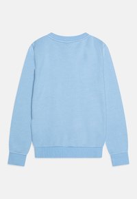 Ljusblå sweatshirt med rund halsringning, långa ärmar och ribbade muddarna. Slät textur utan synliga mönster eller prydnader.