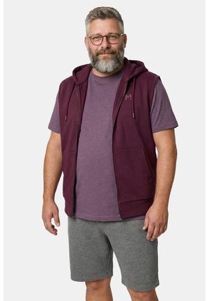 Bärtiger Mann mit Brille, trägt ein violettes kurzärmeliges Hemd, eine bordeauxfarbene ärmellose Kapuzenweste und graue Shorts, steht vor einem weißen Hintergrund.