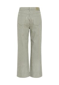 Striped wide-leg pants in light green and white. Cotton fabric with a smooth texture, featuring two rear pockets and belt loops.