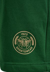 Grön sportklädesmaterial med en gyllene cirkulär logotyp med en bi, texten "1923 F.C. SPORTSWEAR" och lagerkransdetaljer. Ytan är slät.