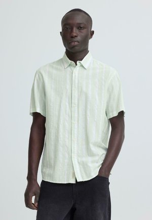 Homme portant une chemise à manches courtes vert clair à boutons avec de fines rayures verticales et un pantalon noir, debout avec une main dans la poche.