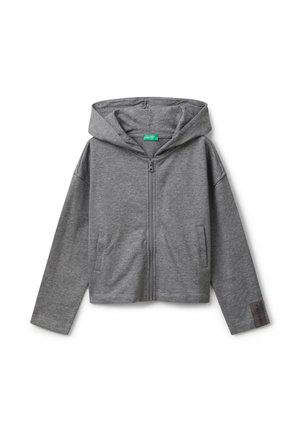 Felpa grigia con zip, dotata di tasche frontali, cappuccio e una piccola etichetta "DREAM" sul polsino sinistro della manica.