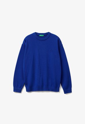 Pull bleu à manches longues avec col rond, poignets et ourlet côtelés, et un petit logo brodé discret sur la poitrine gauche.