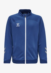 Ikke valgt, true blue