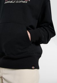 Dickies Jersey con capucha - black