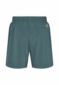 Shorts légers couleur bleu sarcelle avec une taille élastique, des poches latérales et un petit logo de marque sur la hanche droite. Texture lisse.