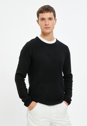 TEXTURED CREW NECK LONG SLEEVE - Strickpullover - black
