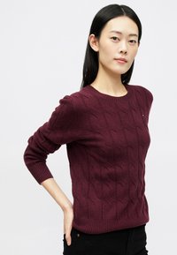 Giovane donna con lunghi capelli scuri che indossa un maglione borgogna a trama con un piccolo logo sul petto e pantaloni neri, in posa con una mano sui fianchi.