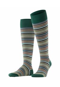 FALKE MICROBLOCK - Calzettoni - hunter green