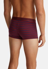 Červené a modré pruhované trenýrky vyrobené z měkké tkaniny, s označeným pasem. Design je přiléhavý s nízkým střihem.