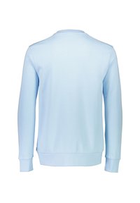 Ljusblå sweatshirt med långa ärmar, rund hals och ribbade ärmmuddar. Slät textur och enfärgad med en enkel design utan mönster.