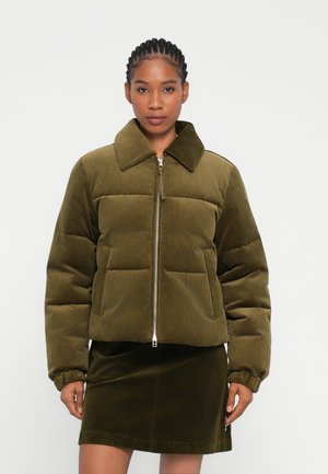OUTDOOR JACKETS - Winterjacke - fir green