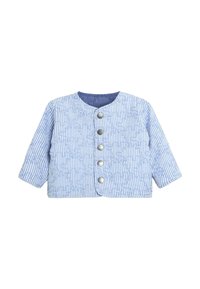 Lichtblauwe cropped jas met lange mouwen, voorzien van een gestreept patroon en een knoopsluiting aan de voorkant met zilveren hardware. Gladde stoftextuur.