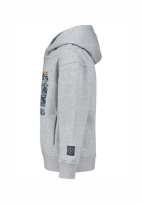 Grijze hoodie gemaakt van zachte stof, met een zijzak, geribde manchetten en een embleem op de linkermouw. Decoratieve grafische print.