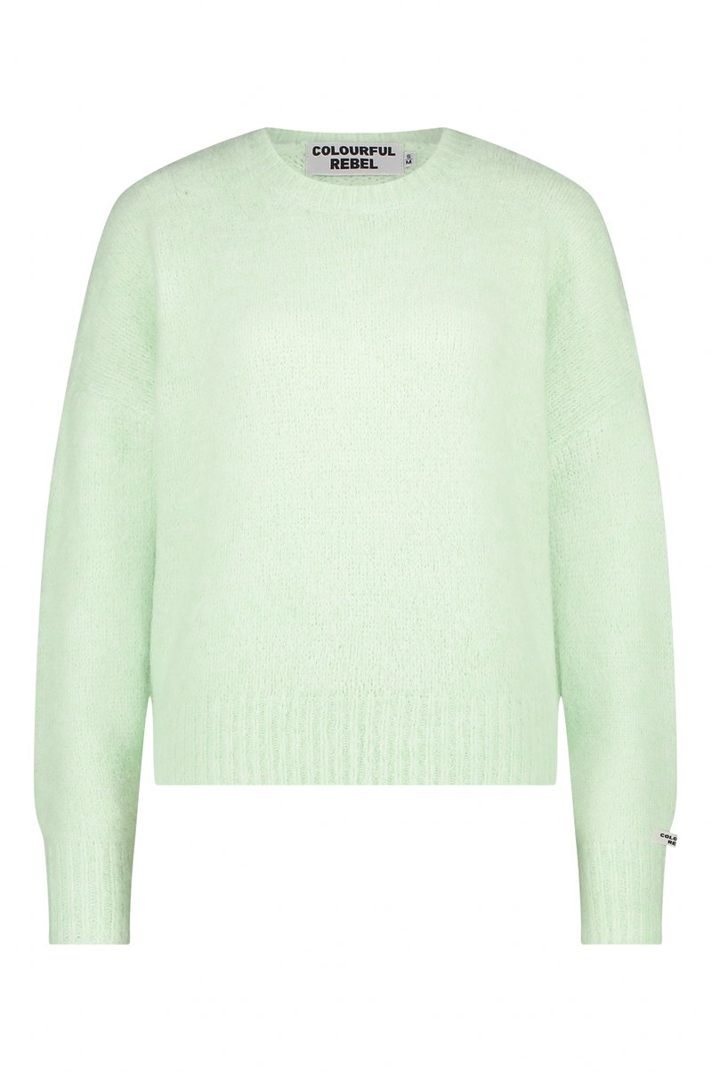 Colourful Rebel Trui mintgroen