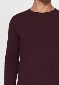 Man som bär en tätt sittande långärmad tröja med rundhals i mörk bordeaux mot en enkel ljus bakgrund.