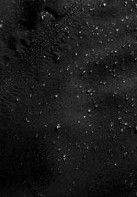 Thumbnail Image 10