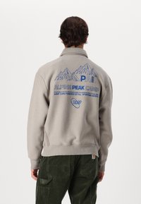 Pal Sporting Goods ALPINE ZONE HALF ZIP C - Sweatshirt - taupe