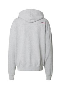 Sweat à capuche gris en tissu doux. Caractéristiques : coupe décontractée, capuche, poignets et ourlet côtelés. Petit détail de logo au dos.