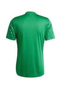 Grünes Kurzarm-Trikot aus glattem Stoff, mit einem einfarbigen Rücken und einer geometrischen Textur an Schultern und Ärmeln.