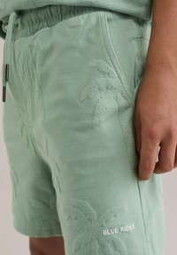 Miętowe szorty z teksturowanym wzorem palm, elastyczną talią z sznurkiem oraz małym logo "BLUE RIDGE" w białym kolorze.