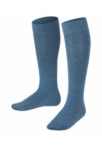FALKE FAMILY - Kniestrümpfe - light blue