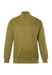 Sudadera de cuello alto de color verde oliva, hecha de algodón suave, con mangas largas, un cuello ajustado y un dobladillo acanalado con diseño sin costuras.