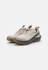 Salomon ELIXIR ACTIV GTX  - Túracipők - silver cloud/nine iron/gothic olive