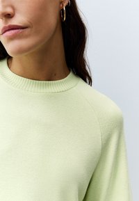Light green knit sweater with a ribbed crew neckline, featuring raglan sleeves and a soft texture, displayed against a neutral background.