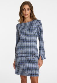 Blau-weißer karierter Kleid mit langen Ärmeln, einem Bootsausschnitt und kreisförmigen Akzentdetails am Saum. Glatte Stofftextur.