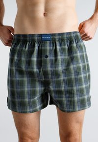 Bóxer de cuadro verde con cintura elástica, abertura de botón y acentos en azul marino. Tejido suave con un patrón a cuadros y aberturas laterales.