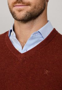 V-Ausschnitt, rostfarbener Pullover aus Strickstoff, mit gerippten Abschlüssen und einem kleinen Logo-Detail auf der Brust, über einem hellblauen Hemd getragen.