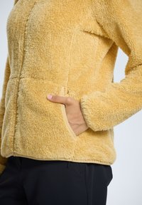 Icepeak COLONY - Giacca in pile - beige