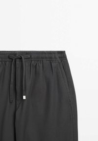 Massimo Dutti Broek - grey