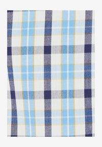 Seleccionado, Blue Large Checks